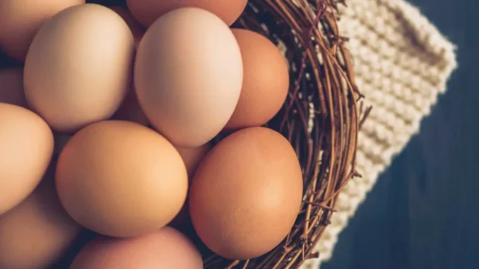 health-benefits-of-eggs-1296x728-feature.webp.webp