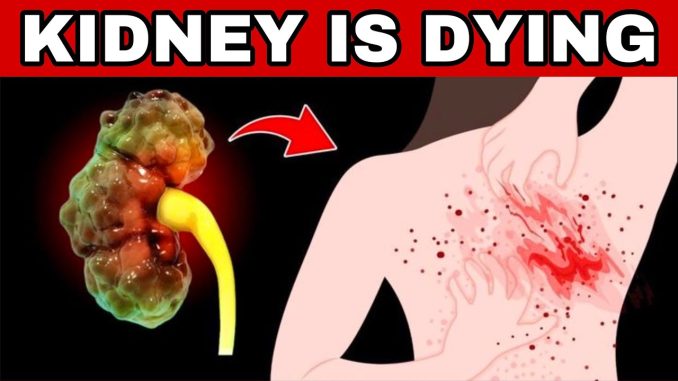 8 Warning Signs Your Body Gives When Your Kidneys Are at Risk