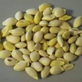 Never Throw Away Lemon Seeds Again After Discovering This Incredible Trick