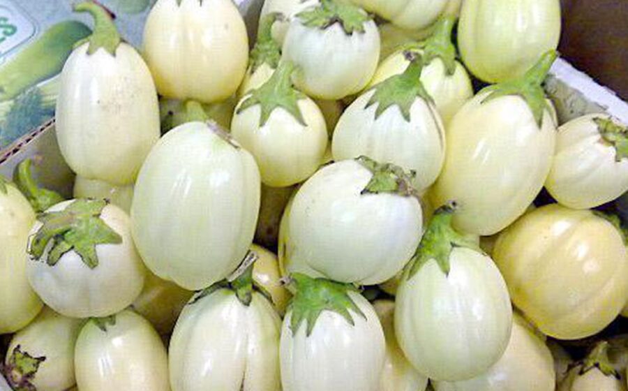Cleanse Your Kidneys Naturally: How Garden Egg May Help Remove Toxins