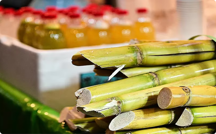 The Incredible Health Benefits of Sugarcane Most People Don’t Know