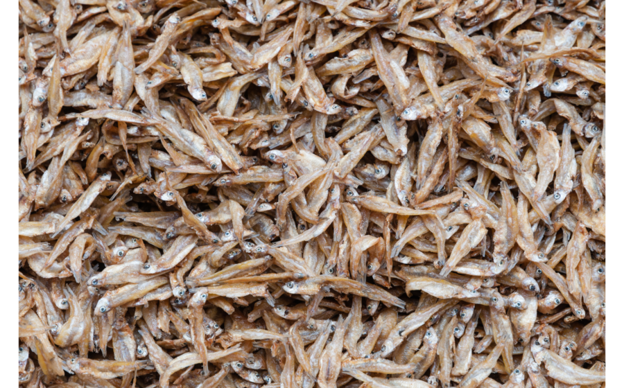 Why Silver Cyprinid (Omena) Is One of the Healthiest Small Fish You Can Eat