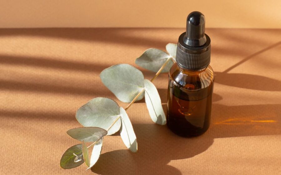 7 Amazing Benefits of Keeping Eucalyptus Oil in Your Home