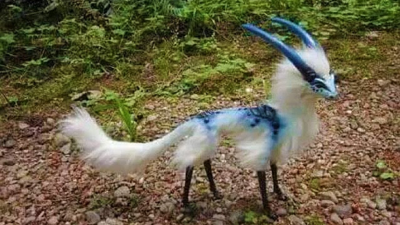 Top 10 Creatures That Shouldn’t Exist (But Might)