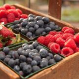 The Top Blood-Healthy Foods Every Adult Should Know