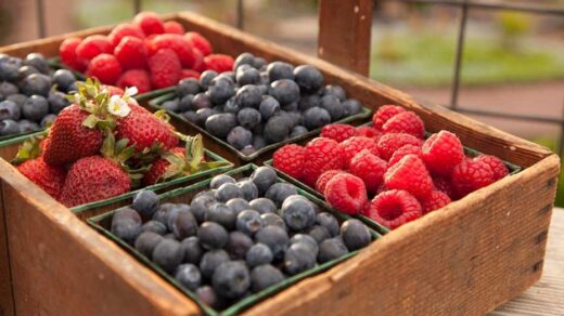 The Top Blood-Healthy Foods Every Adult Should Know