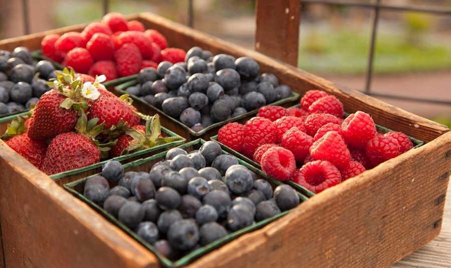 The Top Blood-Healthy Foods Every Adult Should Know