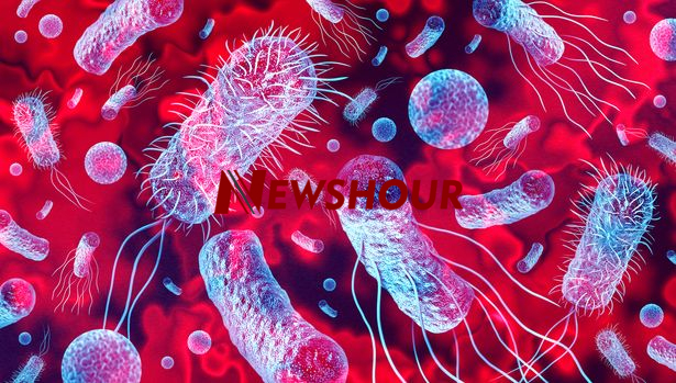 5 Fastest-Killing Diseases You Must Know in 2026