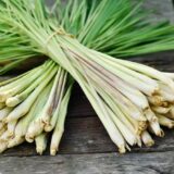 Surprising Health Benefits of Lemongrass You Didn’t Know