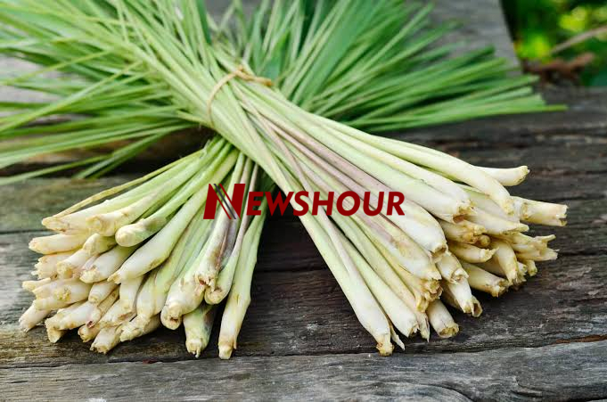 Surprising Health Benefits of Lemongrass You Didn’t Know