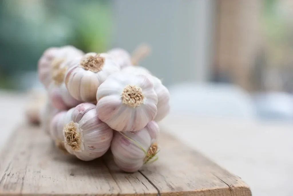 Powerful Health Benefits of Consuming Raw Garlic Daily