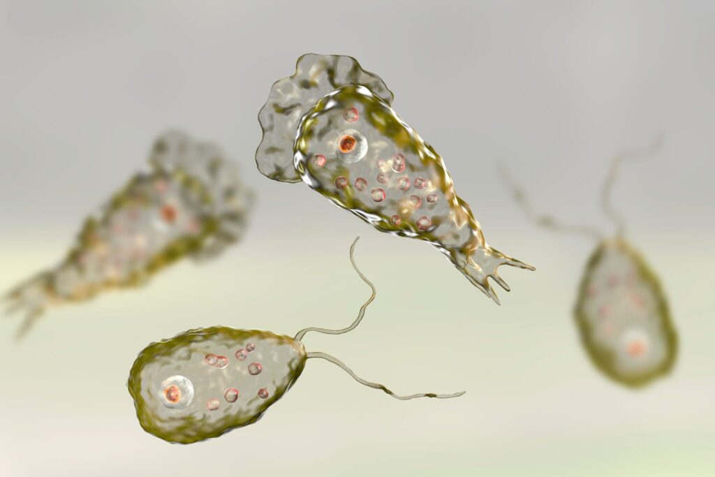 5 Deadly Diseases That Can Claim Your Life in a Short Time