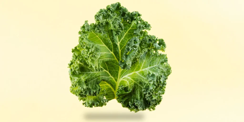 Top 3 Healthiest Vegetables to Add to Your Diet Today