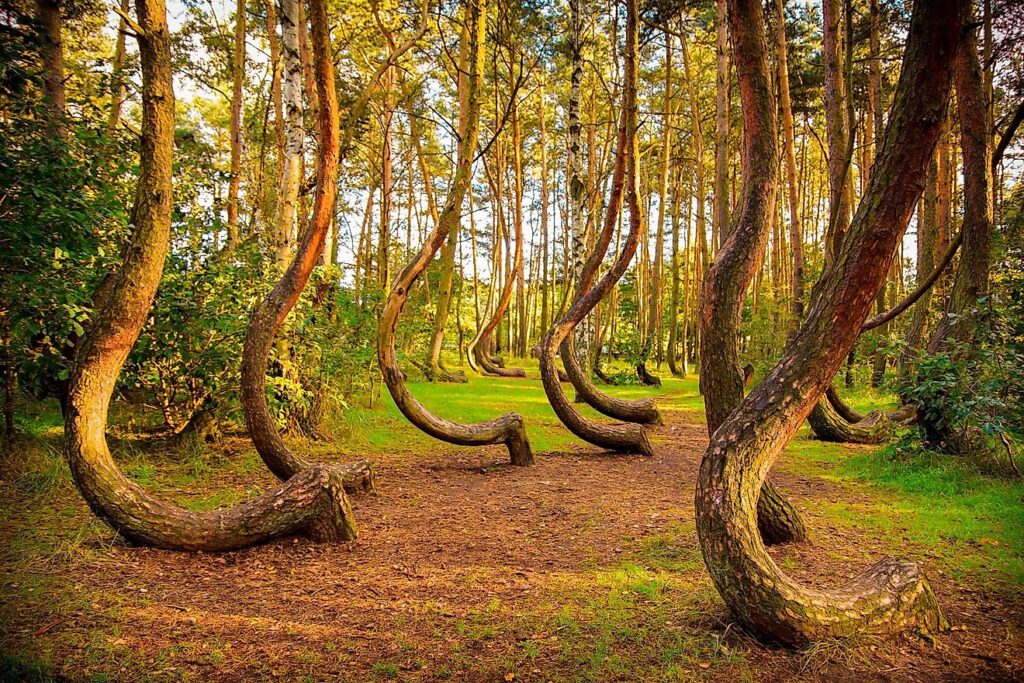 Top 10 Unbelievable Places on Earth That Will Leave You Speechless